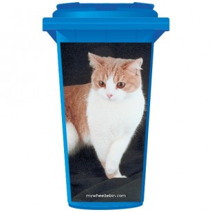 Tabby Ginger Cat Wheelie Bin Sticker Panel